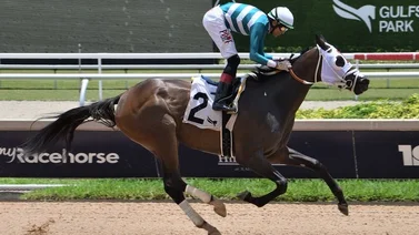 Jockey boricua con potra de entrenador y propietarios venezolanos abre semana en este hipódromo