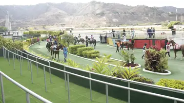 Entérate cuál es el primer retirado de la reunión 25 en La Rinconada Entérate cuál es el primer retirado de la reunión 25 en La Rinconada