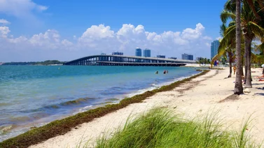 Continúan la búsqueda de un joven latino desaparecido en Key Biscayne⁠