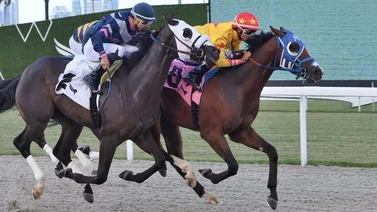 Jockey de Puerto Rico triplica triunfos y se escapa en esta estadística de Estados Unidos