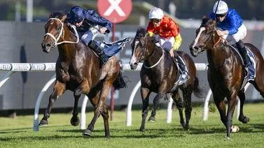 El mejor jockey del mundo no podrá montar este fin de semana por misteriosa enfermedad