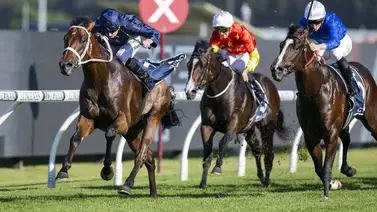 El mejor jockey del mundo no podrá montar este fin de semana por misteriosa enfermedad El mejor jockey del mundo no podrá montar este fin de semana por misteriosa enfermedad