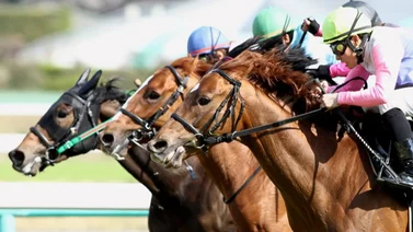 Suspendidos dos jockeys por pelea en el recinto de jinetes en estado de ebriedad