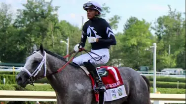 D Wayne Lukas revela los planes para el ganador del Preakness Seize The Grey D Wayne Lukas revela los planes para el ganador del Preakness Seize The Grey