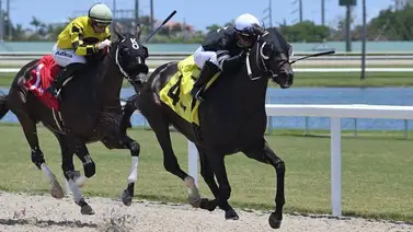 Cuatro triunfos de jockeys venezolanos abren la tarde del viernes en Estados Unidos Cuatro triunfos de jockeys venezolanos abren la tarde del viernes en Estados Unidos