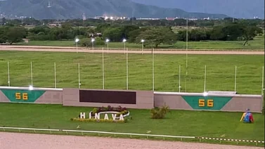 Datos de última hora para el hipódromo de Valencia 29-6-2024