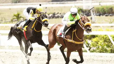 Datos de última hora para el Hipódromo Internacional La Rinconada 30-6-2024 Datos de última hora para el Hipódromo Internacional La Rinconada 30-6-2024