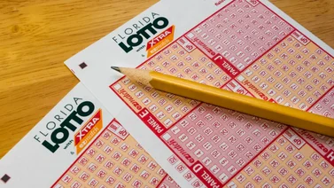 Joven de 19 años se convierte en millonario tras ganar la lotería en Florida