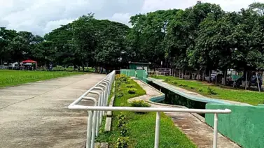 Estos son los retirados del Hipódromo Nacional de Valencia 29-6-2024 Estos son los retirados del Hipódromo Nacional de Valencia 29-6-2024