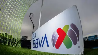 ¿Igual a la MLS? La Liga MX elimina los ascensos y descensos en el fútbol mexicano de manera definitiva ¿Igual a la MLS? La Liga MX elimina los ascensos y descensos en el fútbol mexicano de manera definitiva