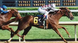 Caballo campeón y doblecoronado recibirá homenaje la semana próxima en este hipódromo