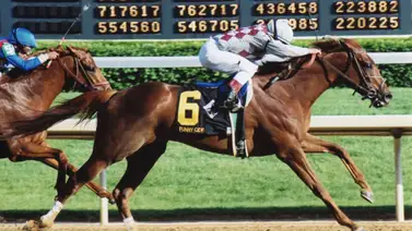 Caballo campeón y doblecoronado recibirá homenaje la semana próxima en este hipódromo Caballo campeón y doblecoronado recibirá homenaje la semana próxima en este hipódromo