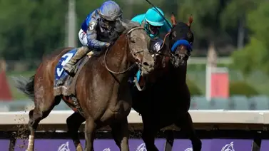 Junior Alvarado se anota su tercer Graded Stakes de 2024 en Estados Unidos Junior Alvarado se anota su tercer Graded Stakes de 2024 en Estados Unidos