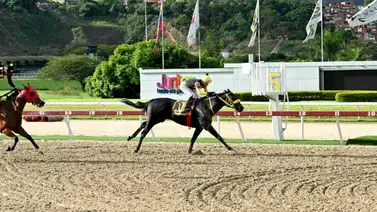 Yeguas corren gran Clásico este domingo en la Rinconada Yeguas corren gran Clásico este domingo en la Rinconada