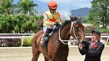 Magith mostró superioridad en el Clásico Prensa Hípica Nacional Magith mostró superioridad en el Clásico Prensa Hípica Nacional