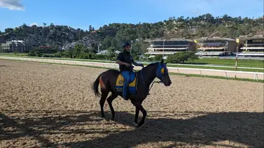 Jinete aprendiz ganador de meeting es suspendido en La Rinconada Jinete aprendiz ganador de meeting es suspendido en La Rinconada