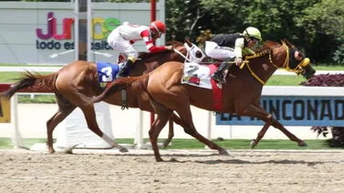 Favoritos de la novena carrera para apostar en MeridianoBet