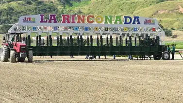 Incidente en La Rinconada: Idelwis Aguilar sufre caída en carrera en La Rinconada Incidente en La Rinconada: Idelwis Aguilar sufre caída en carrera en La Rinconada