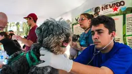 Jornada de atención veterinaria en Zulia: Misión Nevado se prepara para el 5 de junio