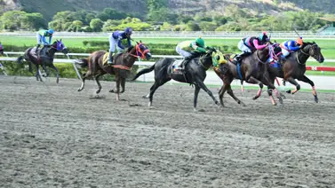 Jinete profesional en su regreso a la pista es multado por los comisarios de La Rinconada  Jinete profesional en su regreso a la pista es multado por los comisarios de La Rinconada
