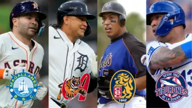 Estos son los equipos de la LVBP con mayor presencia en el top 10 de jonroneros criollos en Grandes Ligas Estos son los equipos de la LVBP con mayor presencia en el top 10 de jonroneros criollos en Grandes Ligas