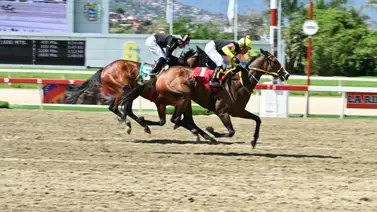 Sugar Cane quiere pegar primero en el Clásico Hipódromo La Rinconada (GI) en La Rinconada Sugar Cane quiere pegar primero en el Clásico Hipódromo La Rinconada (GI) en La Rinconada