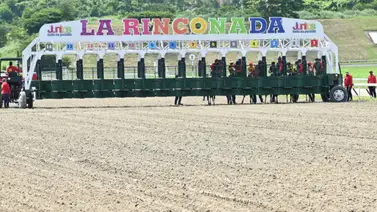 Quinta edición del clásico Bambera (G2): Todas las participantes en detalle Quinta edición del clásico Bambera (G2): Todas las participantes en detalle