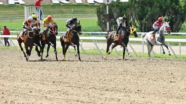 Yegua ganadora selectiva regresa para esta prueba importante que le es familiar en La Rinconada  Yegua ganadora selectiva regresa para esta prueba importante que le es familiar en La Rinconada
