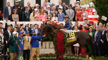Junior Alvarado con 22 montas y seis Stakes en la semana especial del Belmont 