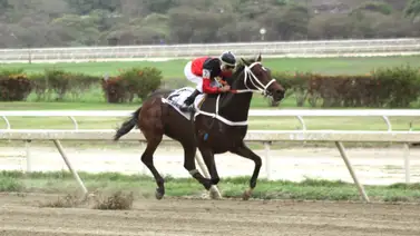 Regreso estelar: El hijo del Triple Coronado Water Jet vuelve a la pista tras 245 días Regreso estelar: El hijo del Triple Coronado Water Jet vuelve a la pista tras 245 días