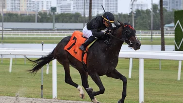 Emisael Jaramillo con monta especial en un Stakes del Belmont