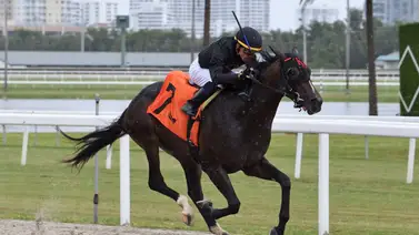 Emisael Jaramillo con monta especial en un Stakes del Belmont Emisael Jaramillo con monta especial en un Stakes del Belmont