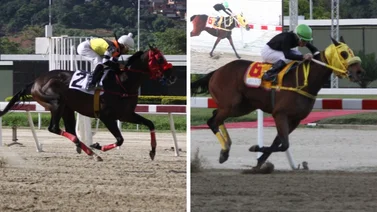 Linaje de Campeones: Hija de padre ganador y madre Triple Coronada debuta este domingo en La Rinconada