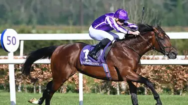 Confirmado el ganador de las 2000 Guineas de Jumeirah y Newmarket para este sábado para el Betfred Derby (G1) + Detalles Confirmado el ganador de las 2000 Guineas de Jumeirah y Newmarket para este sábado para el Betfred Derby (G1) + Detalles