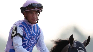 Javier José Castellano irá por seis Stakes en la semana del Belmont 