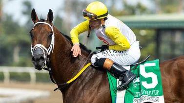 “La Máquina” Ortiz Jr. gana tres y llega a 4,200 victorias en Estados Unidos
