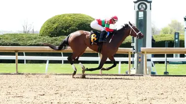 Eclipse winners Flavien Prat con 20 montas en Graded Stakes en la semana del Belmont Eclipse winners Flavien Prat con 20 montas en Graded Stakes en la semana del Belmont