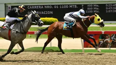 Descubre cómo un ajuste clave de la sorpresa de Gaceta Hípica podría decidir con victoria la primera válida para el 5y6 dominical Descubre cómo un ajuste clave de la sorpresa de Gaceta Hípica podría decidir con victoria la primera válida para el 5y6 dominical