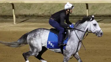 Cinco ejemplares participantes en el Kentucky Derby se batirán en duelo este domingo por los $400.000 del Matt Winn Stakes Cinco ejemplares participantes en el Kentucky Derby se batirán en duelo este domingo por los $400.000 del Matt Winn Stakes