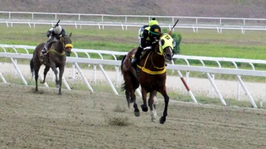 Este entrenador espera brindar su buen debut con un ejemplar para el 5y6 de la R21(+Video)
