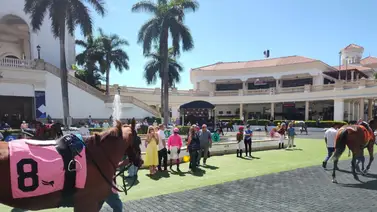 Datos de última hora incluye el Best Bet y los Picks para la jornada en Gulfstream Park 5-6-2025   Datos de última hora incluye el Best Bet y los Picks para la jornada en Gulfstream Park 5-6-2025