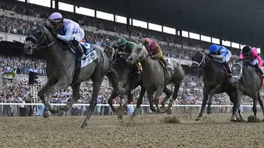 La mejor información del Belmont Stakes de este sabado la tienes en Gaceta Hipica La mejor información del Belmont Stakes de este sabado la tienes en Gaceta Hipica