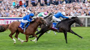 Último minuto: Ruling Court ha sido retirado del Betfred Derby G1 en Epsom Último minuto: Ruling Court ha sido retirado del Betfred Derby G1 en Epsom