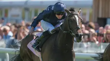 ¡Atención!  Lambourn se impone en el Betfred Derby G1 de Epsom ¡Atención!  Lambourn se impone en el Betfred Derby G1 de Epsom