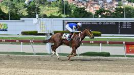 No te pierdas los Clásicos de este domingo en La Rinconada y multiplica tus ganancias con MeridianoBet