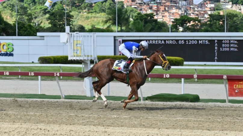 No te pierdas los Clásicos de este domingo en La Rinconada y multiplica tus ganancias con MeridianoBet