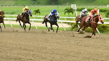 Con multa incluida: Jinete profesional sancionado en La Rinconada luego de celebrarse la reunión 21 Con multa incluida: Jinete profesional sancionado en La Rinconada luego de celebrarse la reunión 21