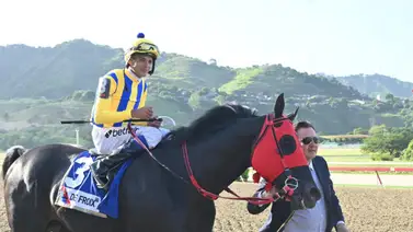 Selectos: Estos son los únicos ejemplares que han ganado tres veces un mismo clásico en La Rinconada  Selectos: Estos son los únicos ejemplares que han ganado tres veces un mismo clásico en La Rinconada