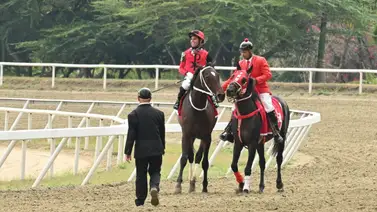 Jhonathan Aray informó a los comisarios sobre sus sensaciones y el comportamiento del ejemplar Li Tre Fratelli durante su actuación en la R21 Jhonathan Aray informó a los comisarios sobre sus sensaciones y el comportamiento del ejemplar Li Tre Fratelli durante su actuación en la R21