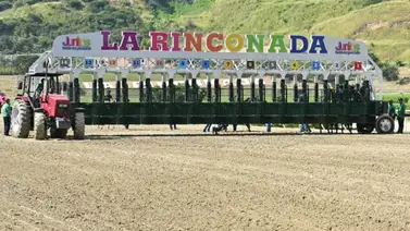 Reunión 22: El Clásico José Antonio Páez abre el camino a la Triple Corona Nacional en La Rinconada Reunión 22: El Clásico José Antonio Páez abre el camino a la Triple Corona Nacional en La Rinconada